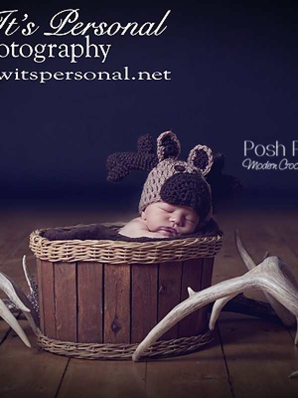 moose reindeer hat pattern