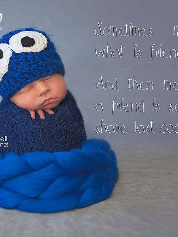 cookie monter hat pattern