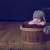Baby Hat Knitting Pattern Elf Pixie Cap knit baby hat pattern
